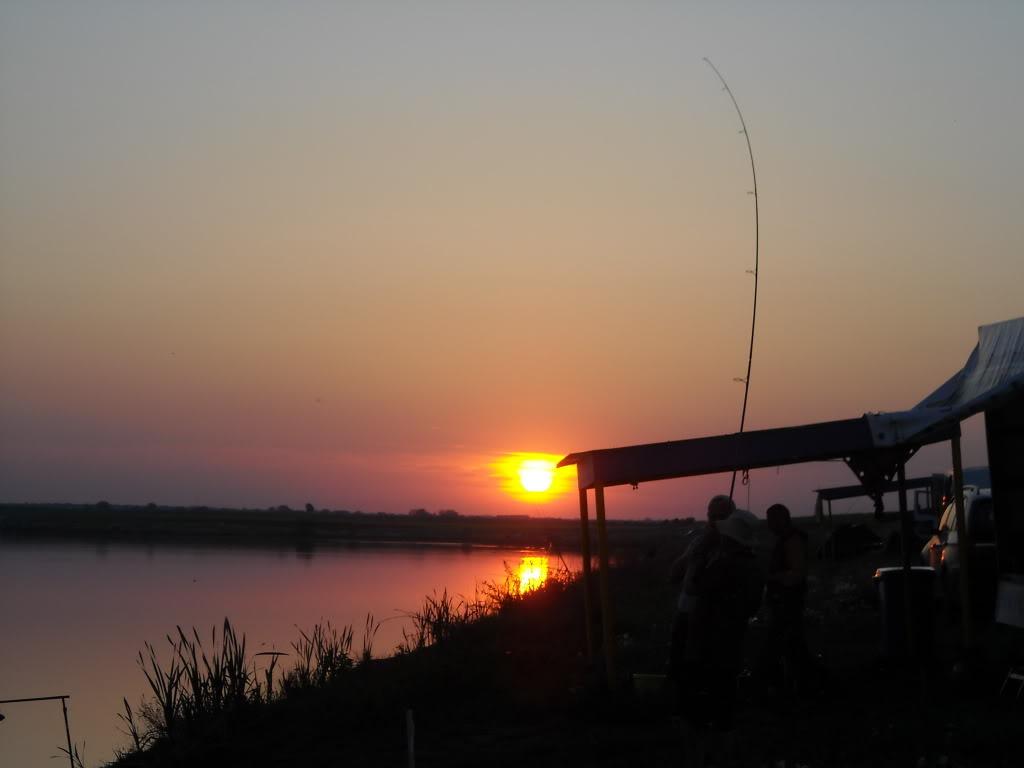 Party Cup - Hobaia 2010 - partycuphobaia2010106.jpg